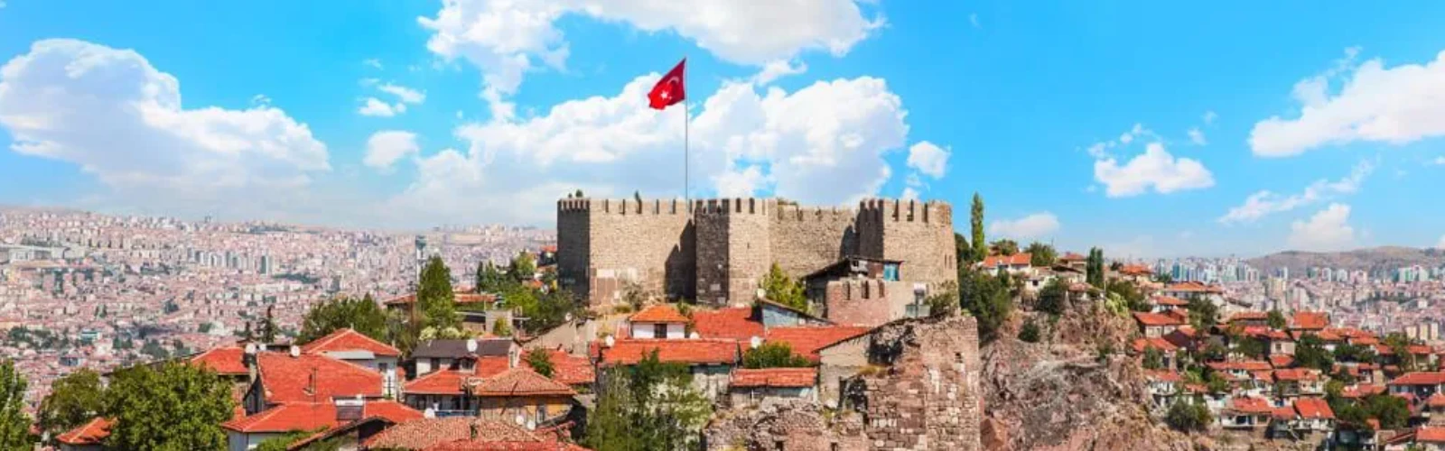 Vegan Food Spots in Ankara