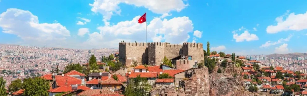 Vegan Food Spots in Ankara