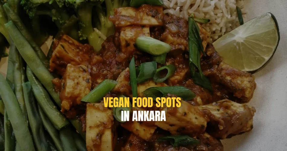 Vegan Food Spots in Ankara